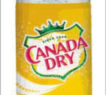 Canada Dry Tonic Water (1L)