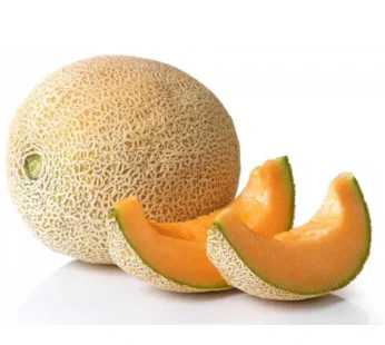 Cantaloupe