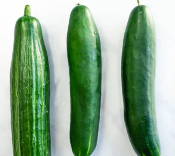 English Cucumbers