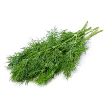 Fresh Dill